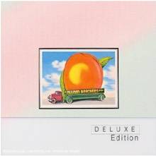 The Allman brothers