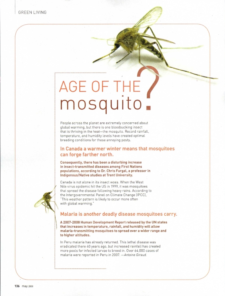 Mosquito article
