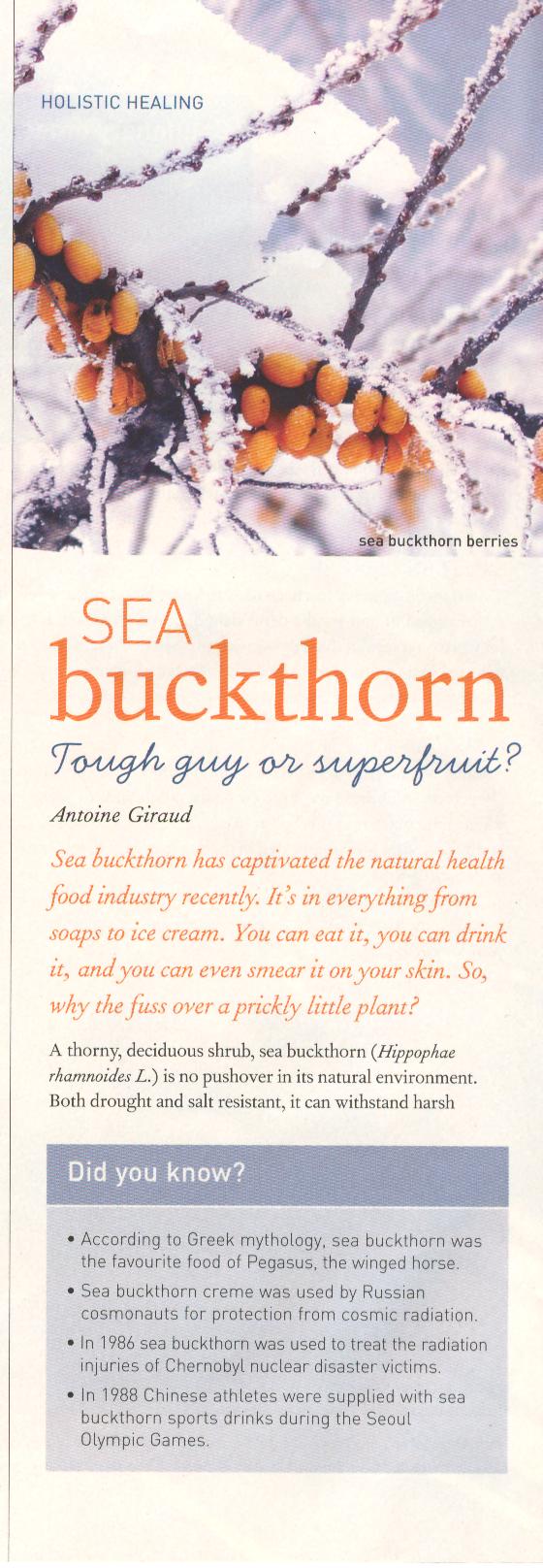 Seabuckthorn
